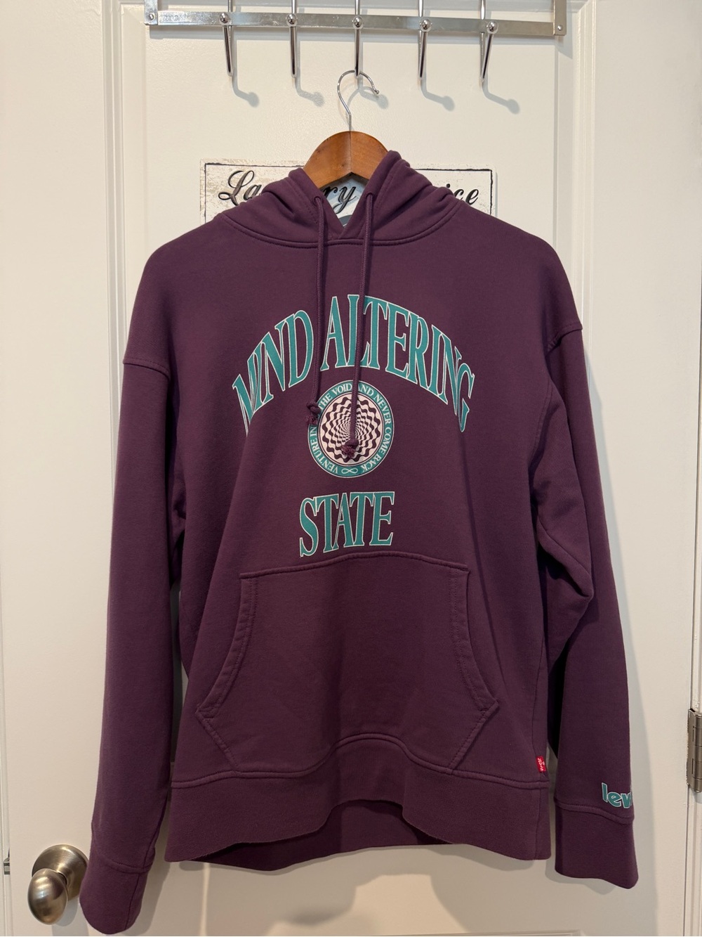 Levi's Men's Dark Plum Crewneck Hoodie with Teal Graphic, Small